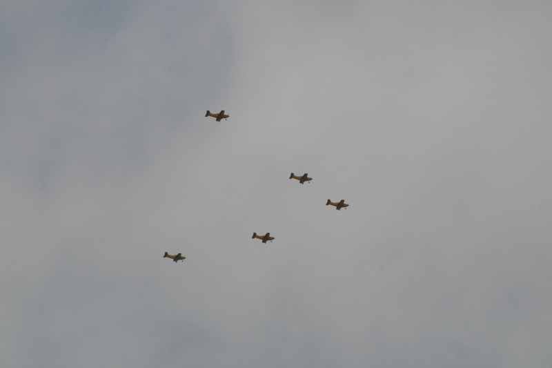 Nieuw-Zeeland 2011 - 2142